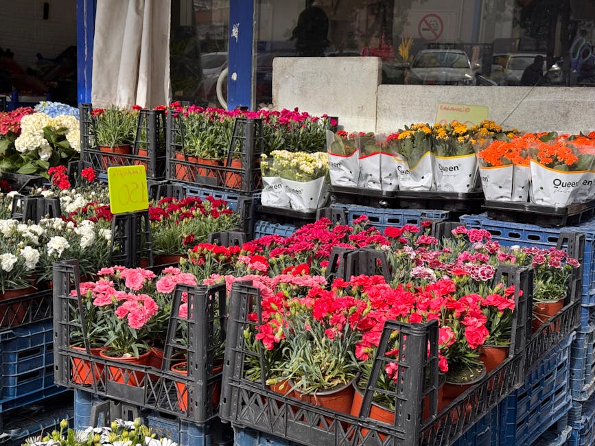 An outdoor display of various freshly potted flowering plants arranged in black plastic crates and trays outside a florist shop. The flowers include pink, red, white, yellow, and orange varieties, wit